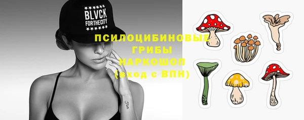 стаф Богородицк