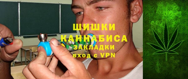 стаф Богородицк