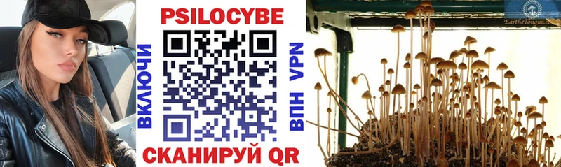 Псилоцибиновые грибы Magic Shrooms  где найти   OMG ссылка  Циолковский 